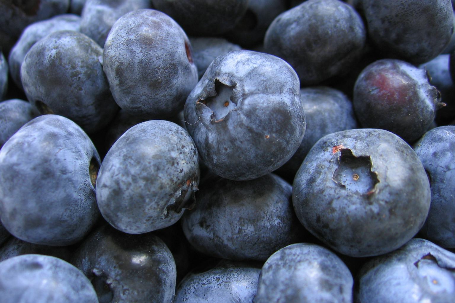 10 Brain Boosting Foods You Should Be Eating
