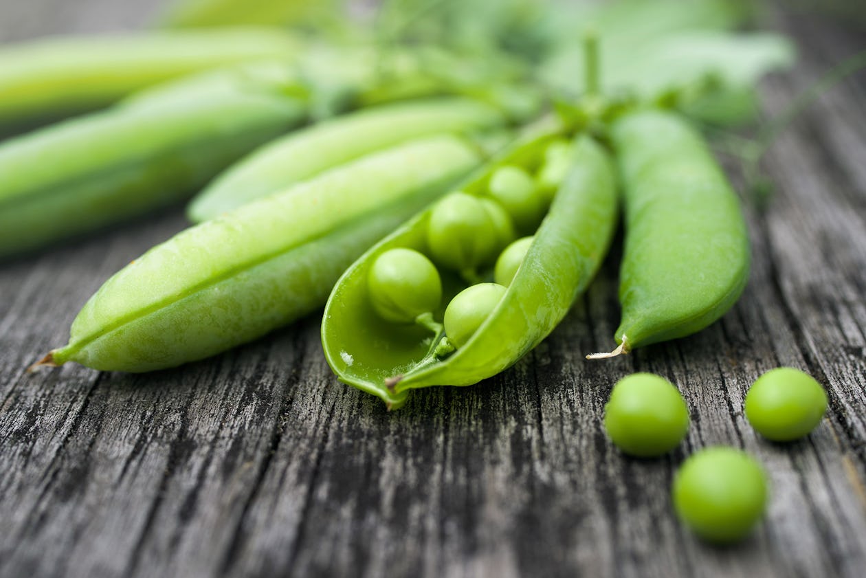 The Complete Guide To Pea Protein Powder – Onnit
