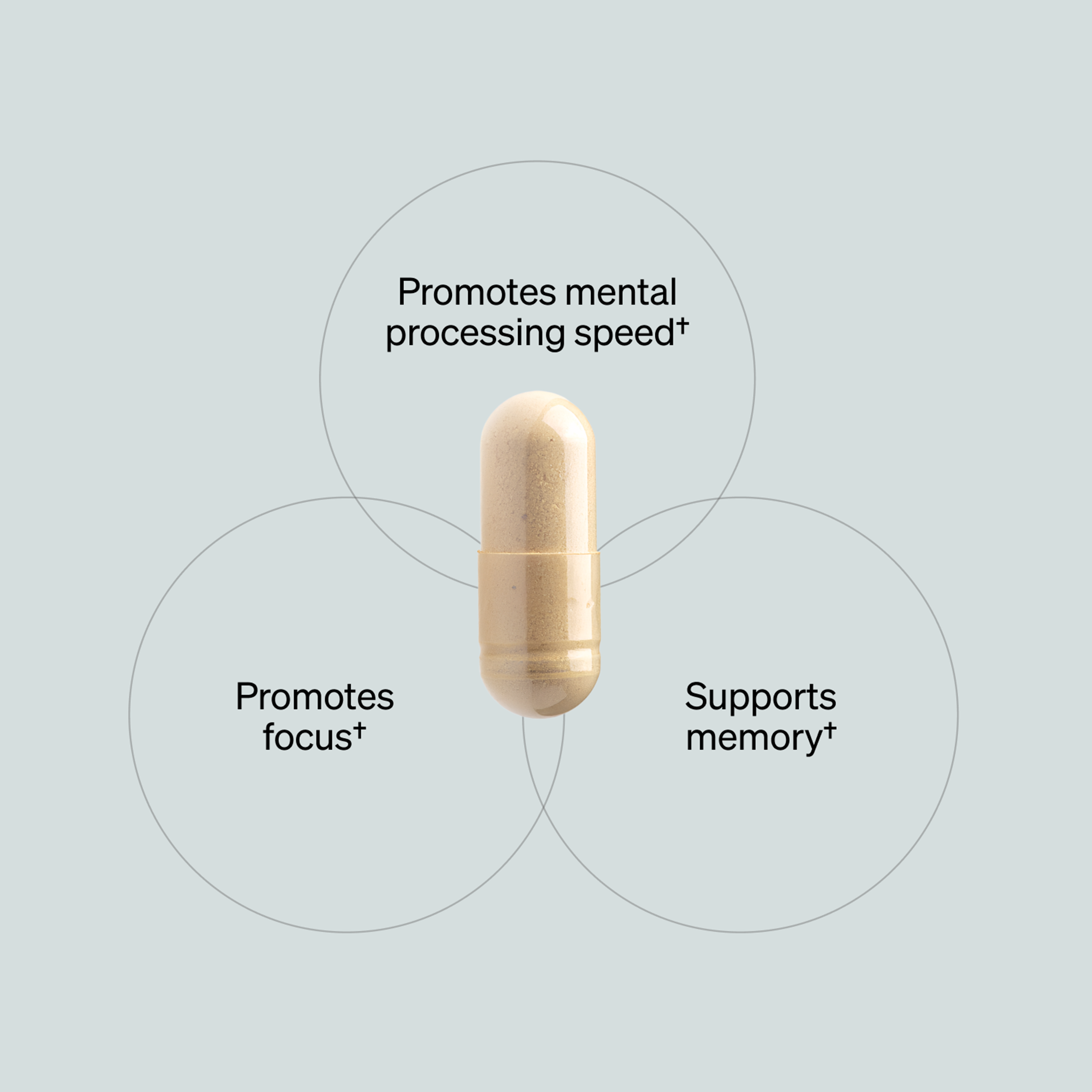 Tan capsule supplement with three overlapping circular labels listing mental processing speed, focus, and memory benefits.
