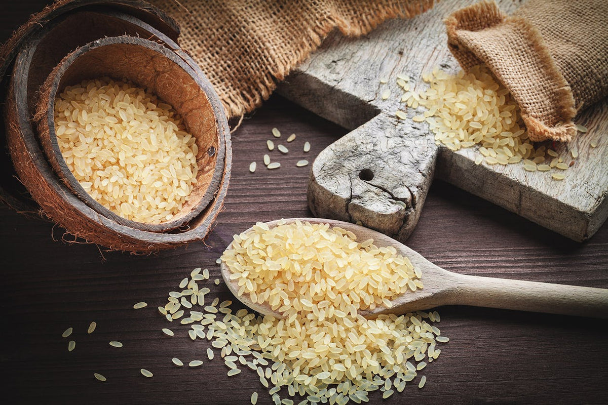 Mahda Rice Protein The Complete Guide To Rice Protein Powder – Onnit