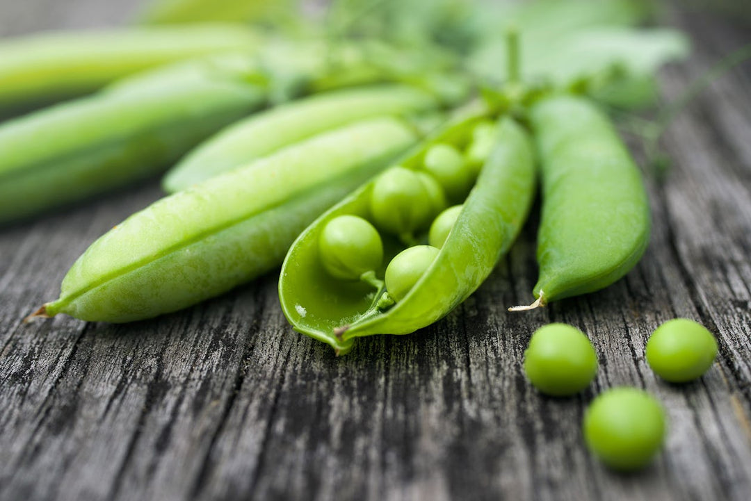 The Complete Guide To Pea Protein Powder – Onnit