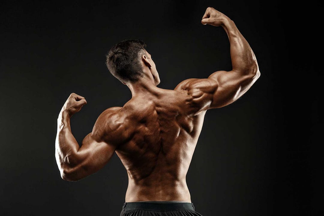 5 Killer Back and Bicep Workouts For Building Muscle