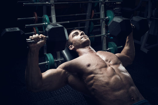 3 Killer Chest & Back Workouts For Building Muscle – Onnit