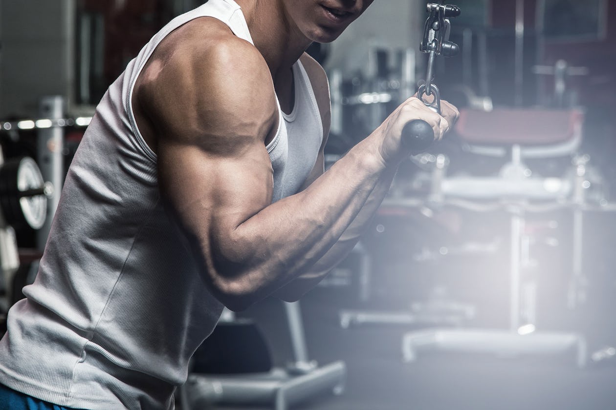 4 Killer Arm Workouts You Can Do At Home