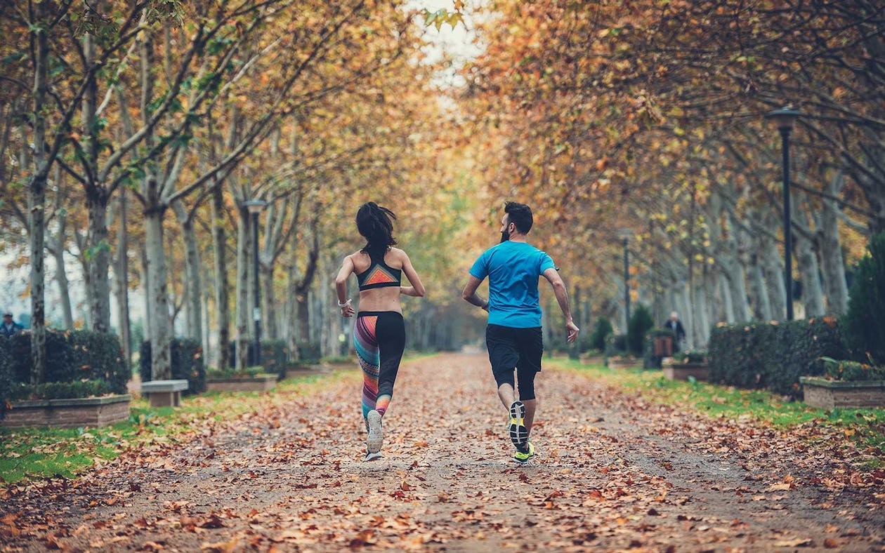 New Year’s Resolution Series: 12-Week Fat Loss Workout Plan for 2025