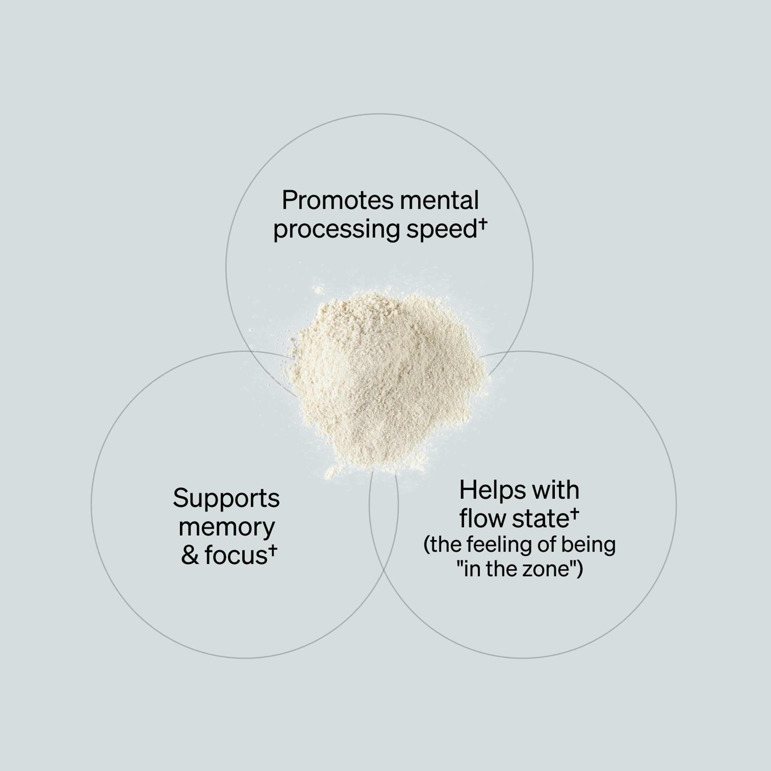 Alpha BRAIN® Instant - Peach (30 ct)