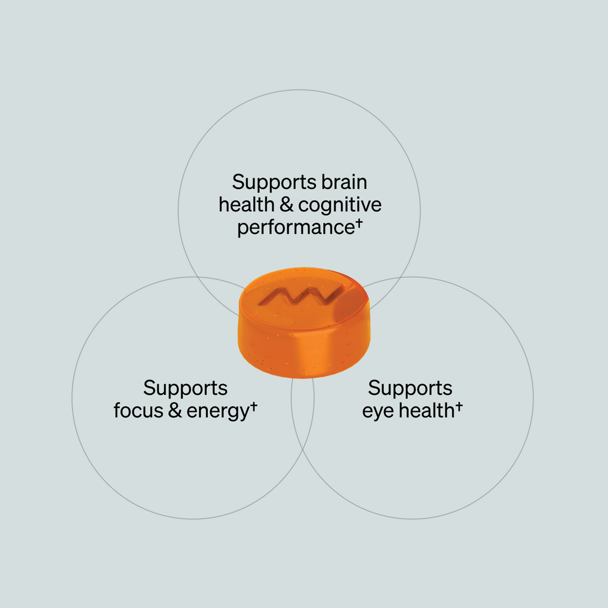 Alpha Brain® Neuro Gummies: Support Brain & Eye Health | Onnit