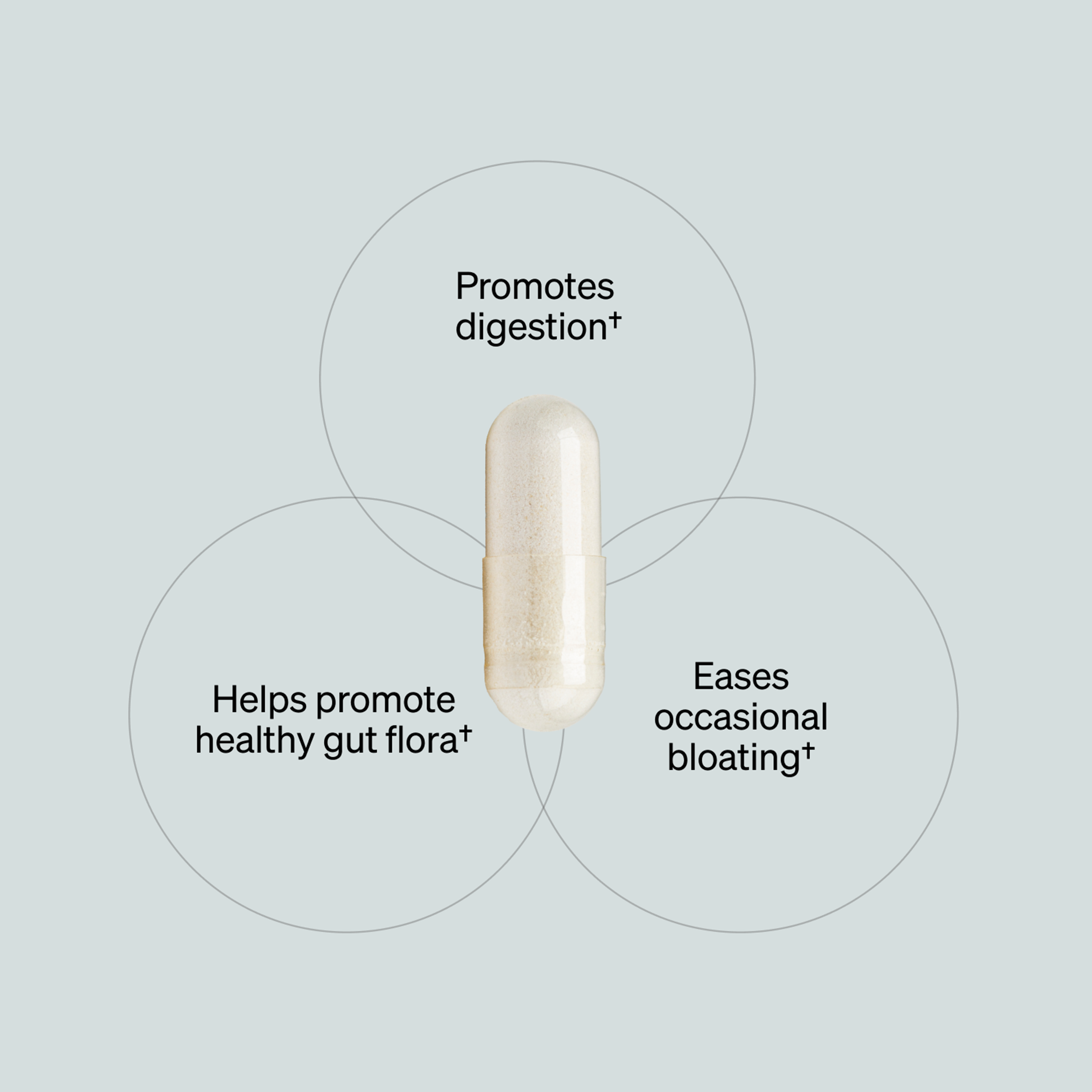 Total GUT HEALTH® (60 ct)