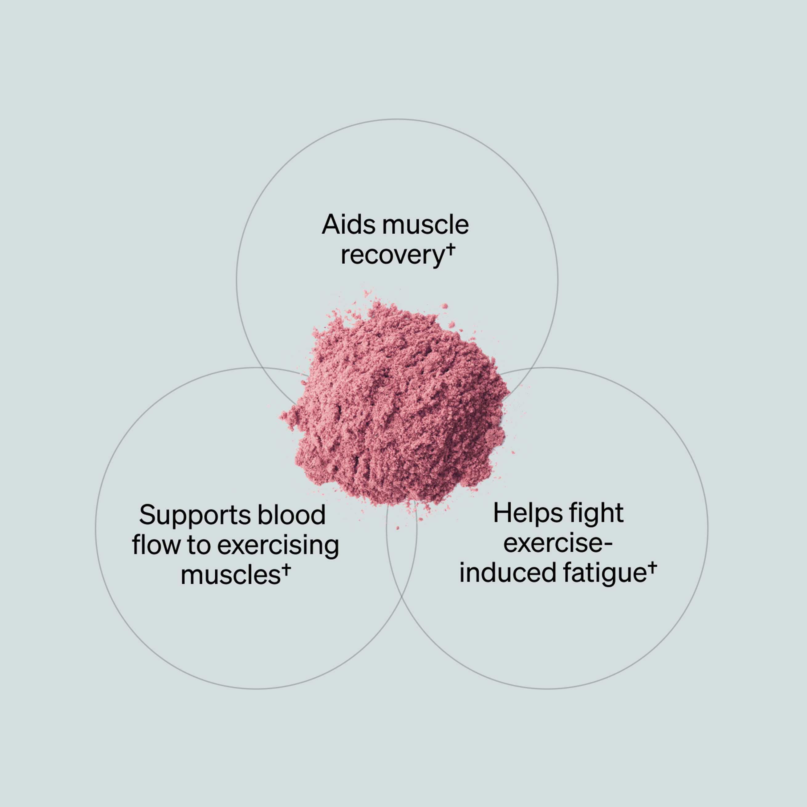 Total Nitric Oxide® - Harvest Fruit (20 Serving Tub)
