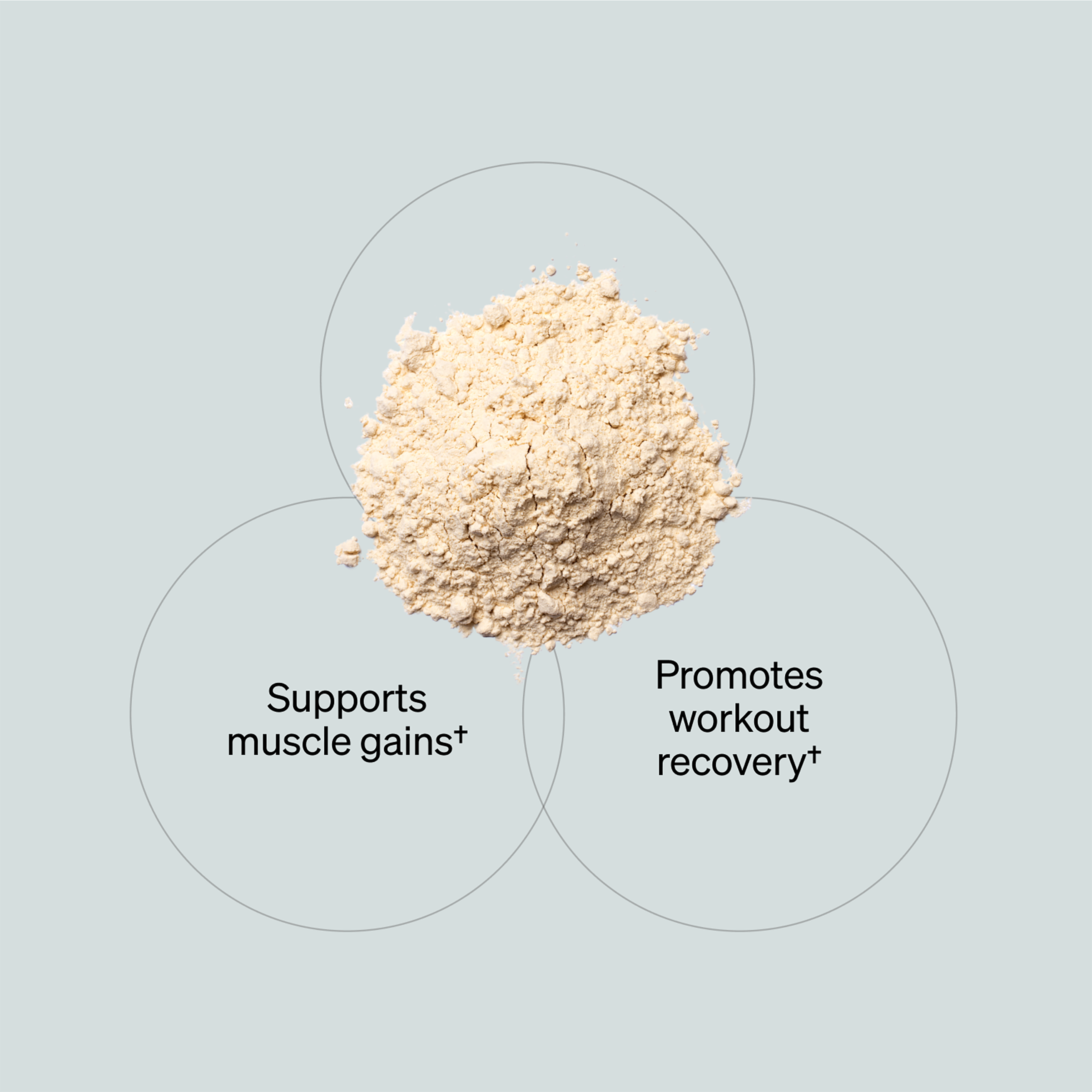Grass Fed Whey Isolate Protein - Vanilla (30 Serving Tub)