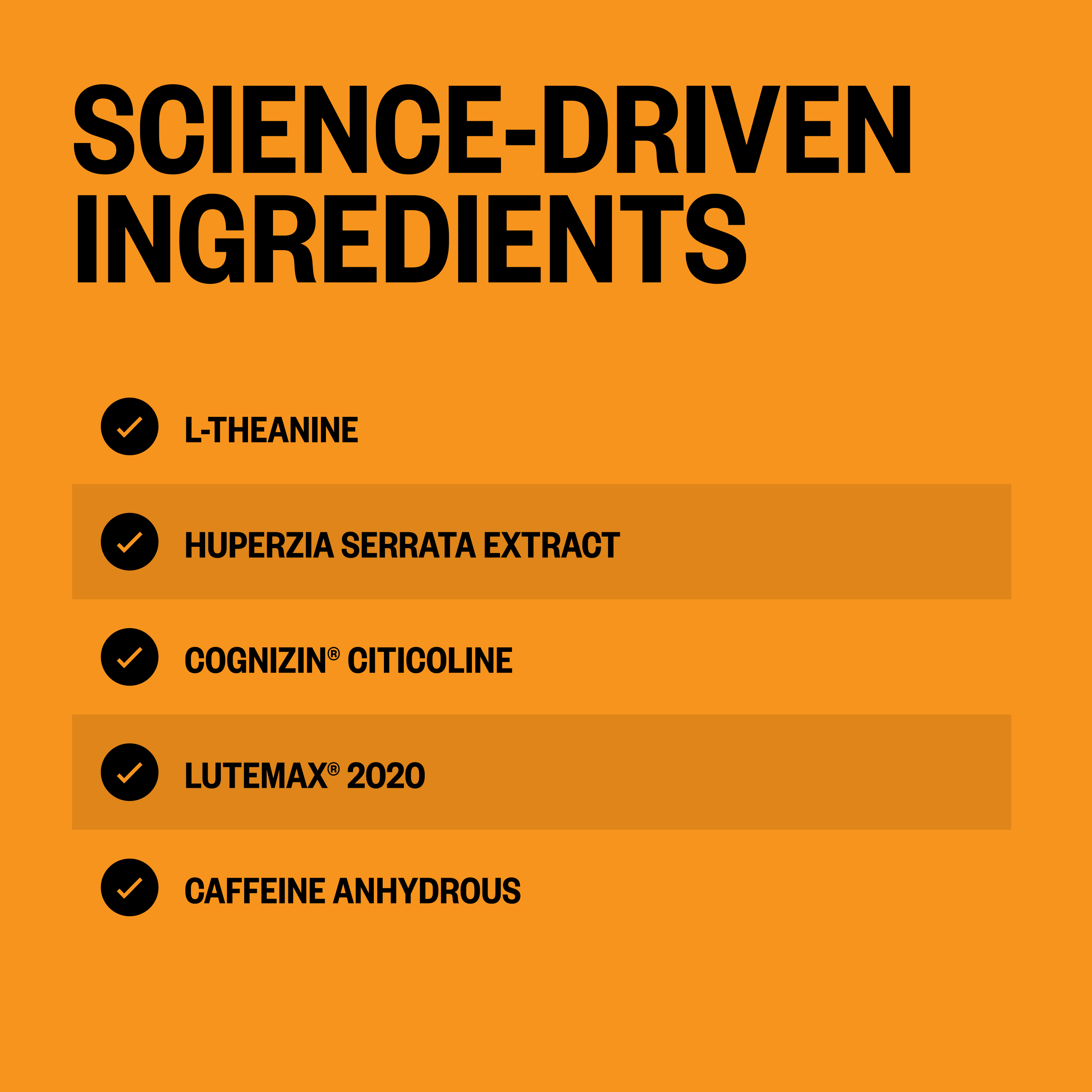 Orange background displaying ingredient list for Alpha BRAIN Black Label with checkmarks next to L-Theanine, Huperzia Serrata