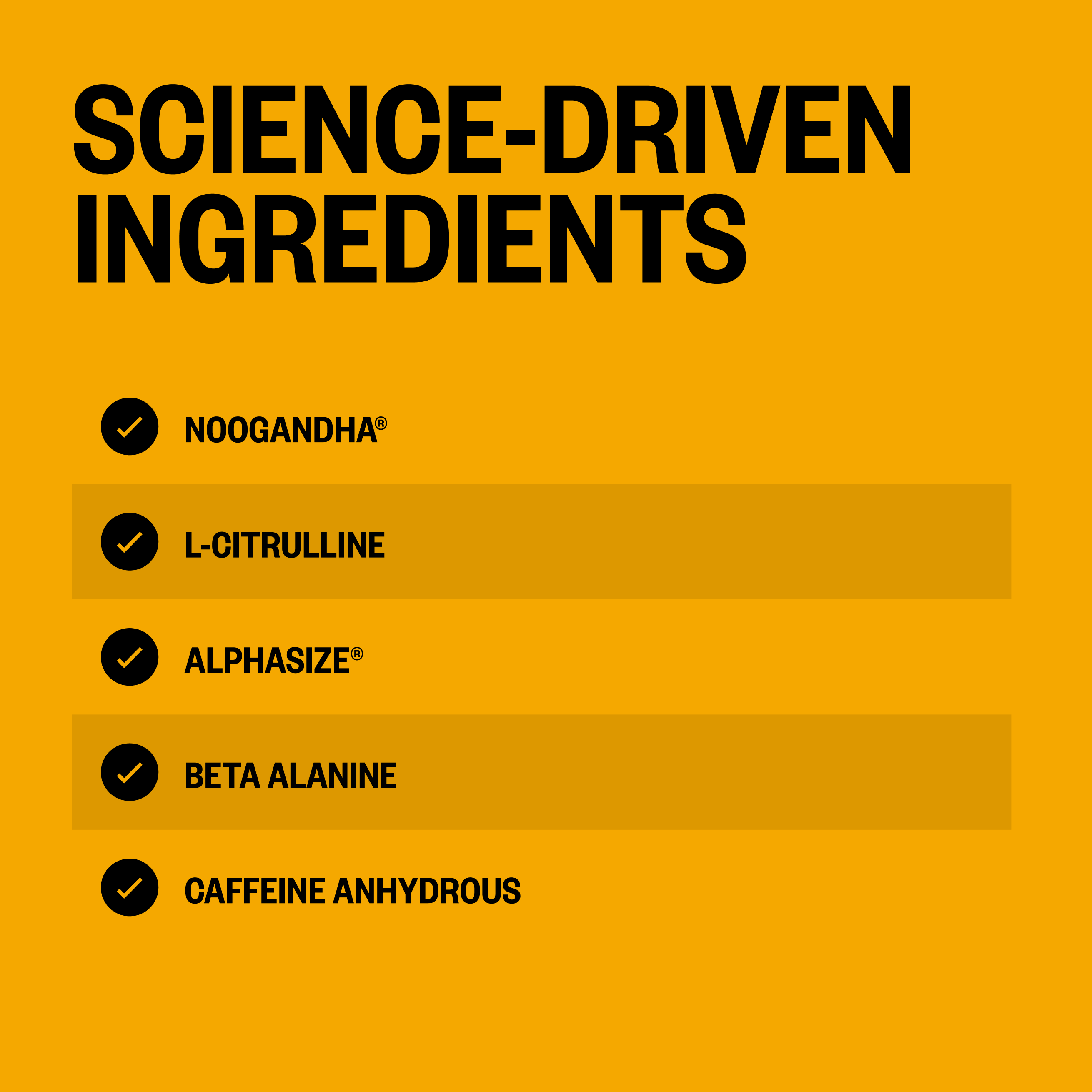 Alpha BRAIN® Pre-Workout - Tiger's Blood (20 Serving Tub)