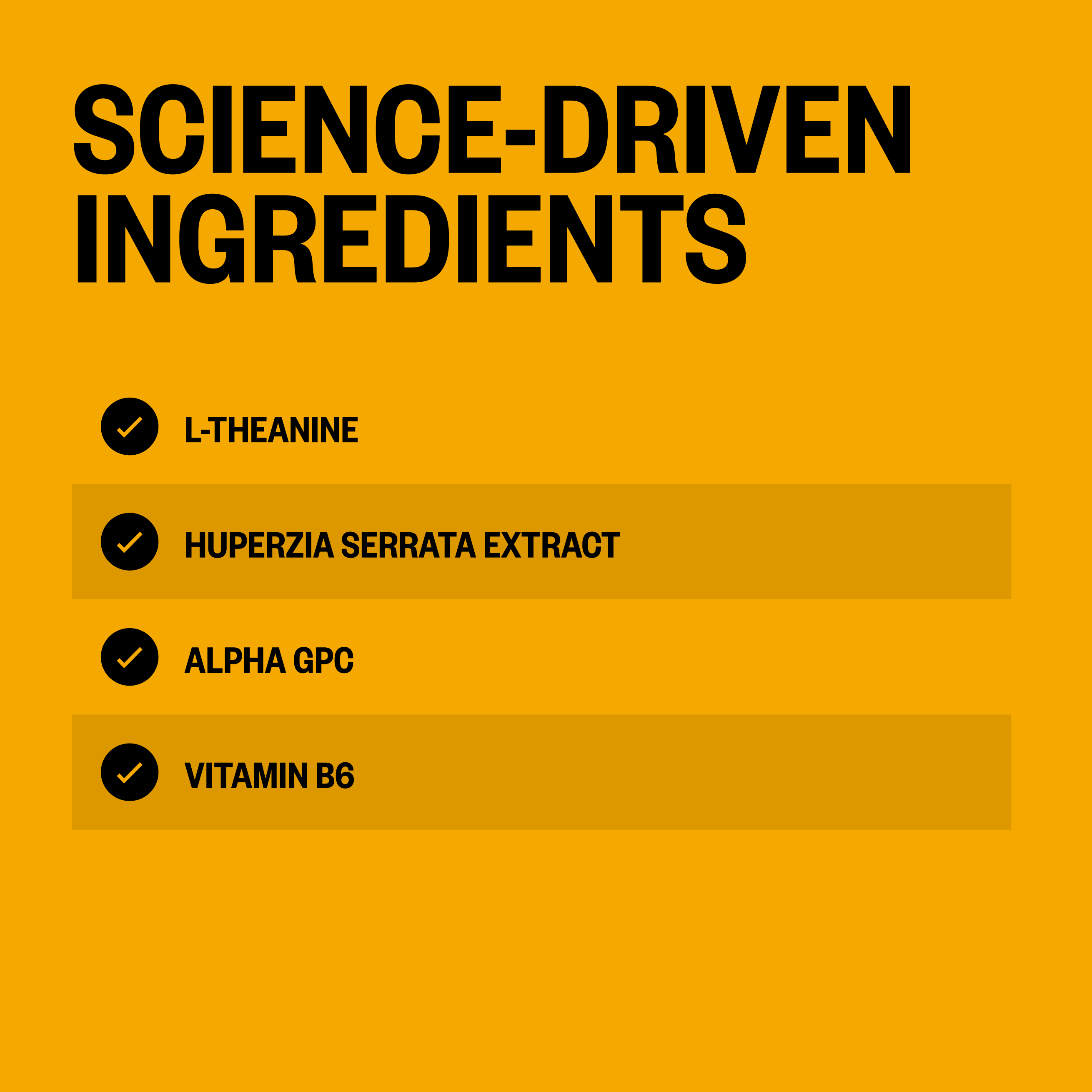 Alpha BRAIN® Instant - Pineapple Punch (30 ct)