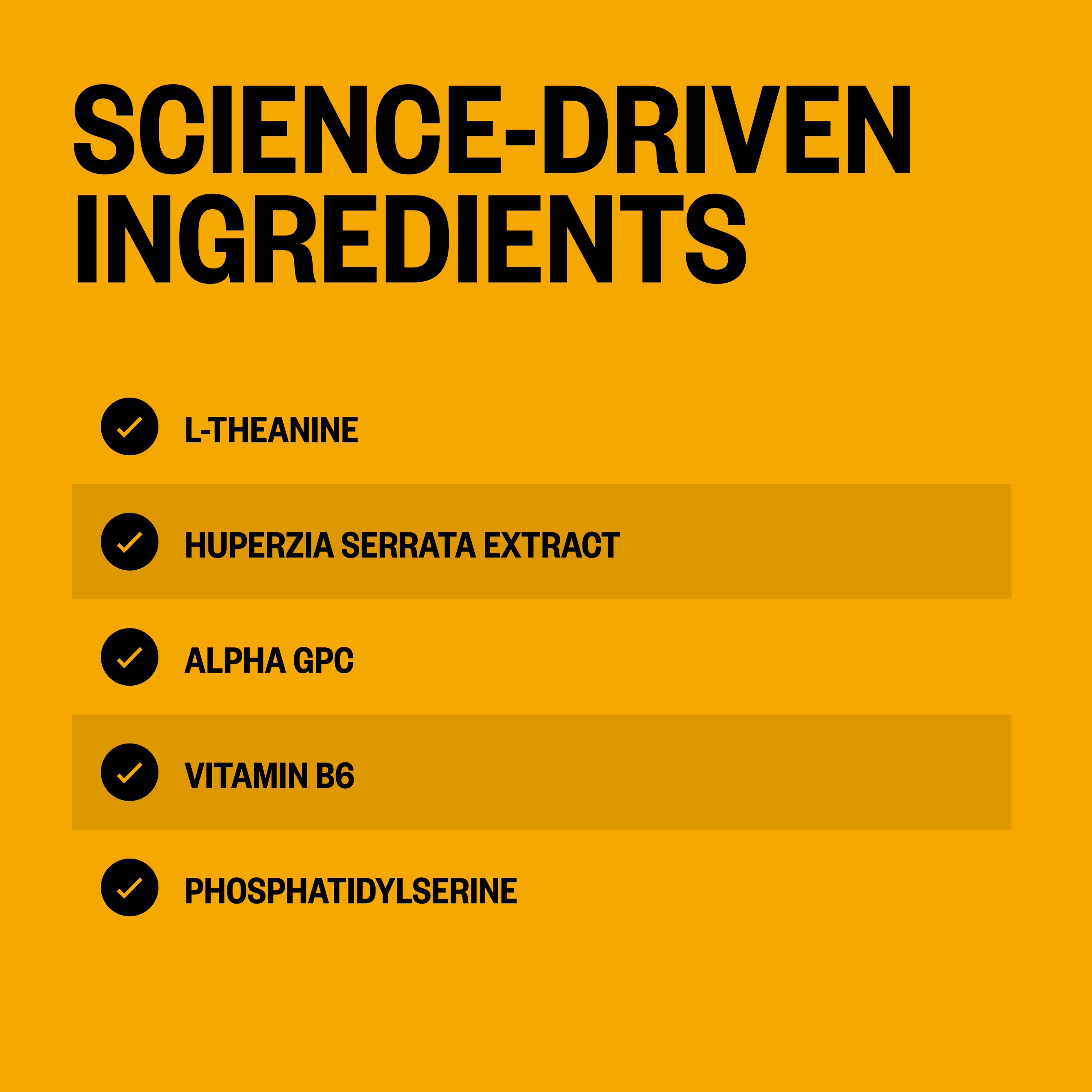 Yellow background with black text listing five ingredients: L-Theanine, Huperzia Serrata Extract, Alpha GPC, Vitamin B6, and 