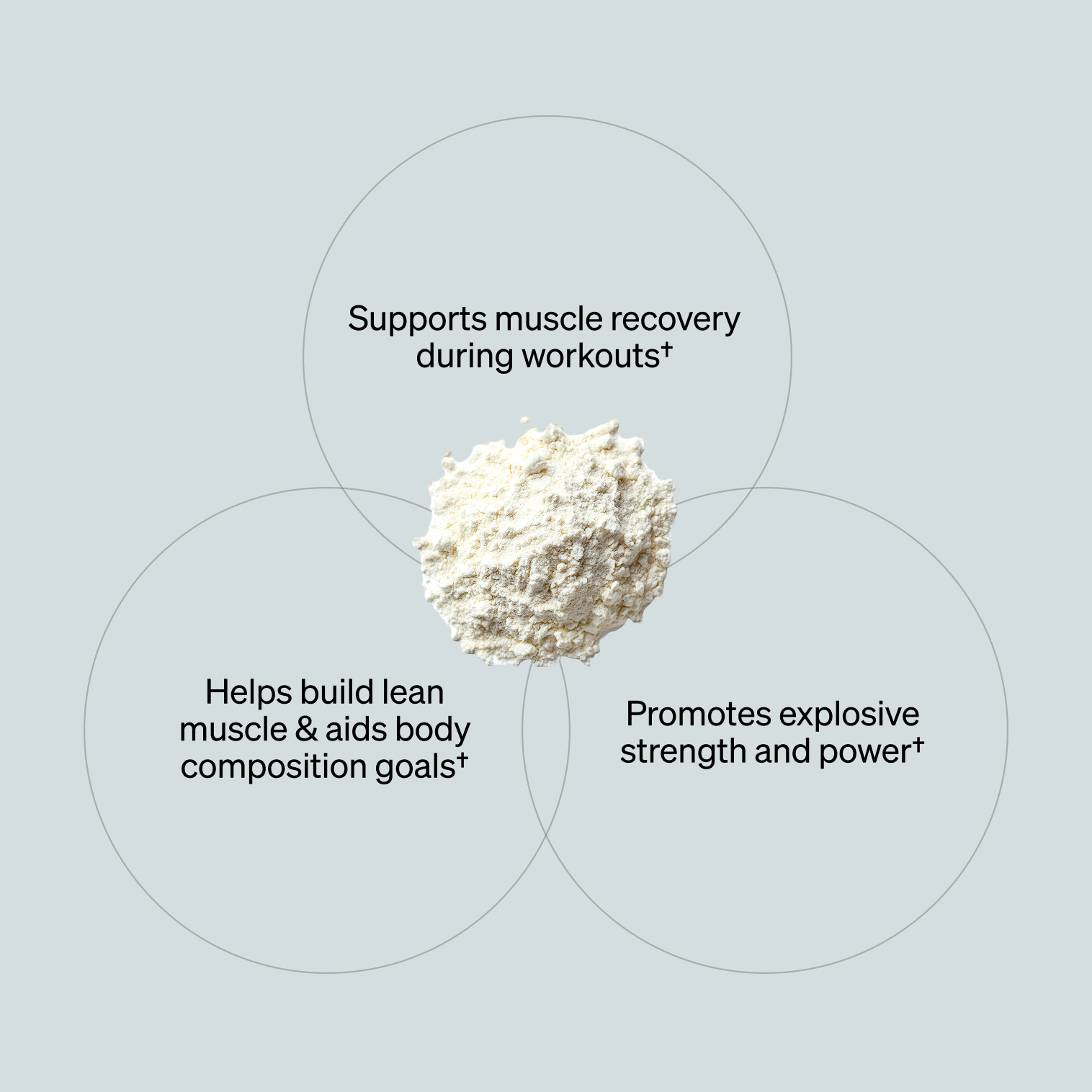 Creatine - Unflavored (90 Serving Tub)