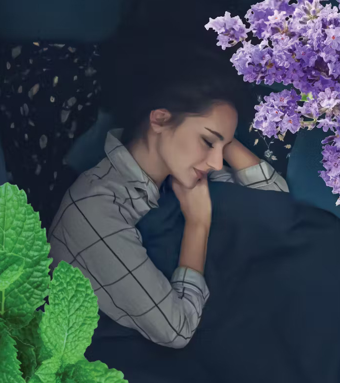 Melatonin Spray Flavors Twin Pack