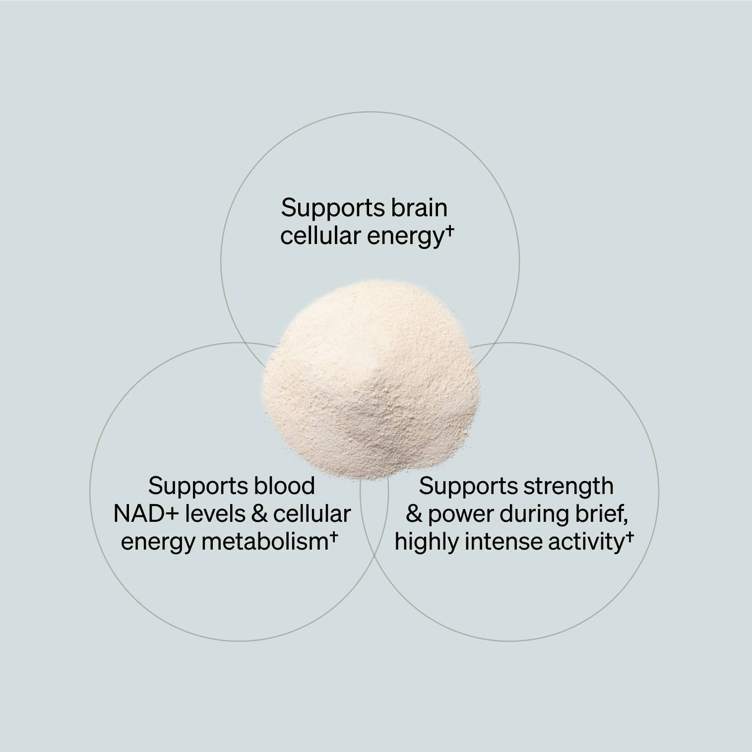 NMN + Creatine - Unflavored (30 ct)