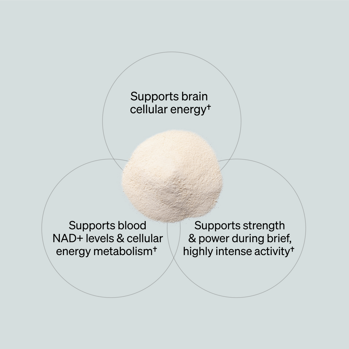 NMN + Creatine - Melon Plum (30 ct)