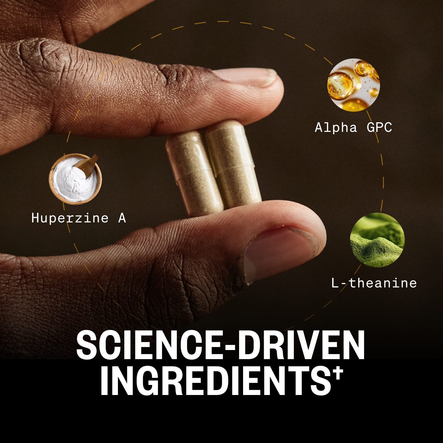 Alpha BRAIN® FREE Trial